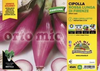 Cipolla Rossa Lunga di Firenze o Fiascona Vaschetta 12 Piantine