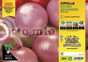 Cipolla Rossa Savonese