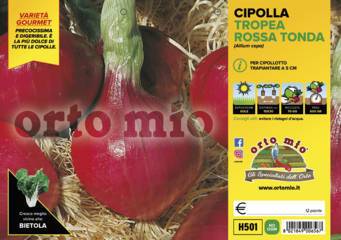 Cipolla Rossa di Tropea Tonda