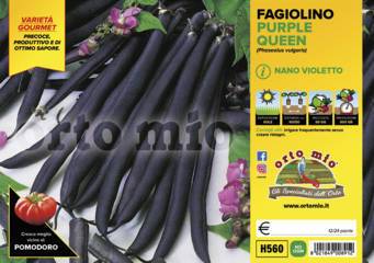Fagiolino Nano Viola