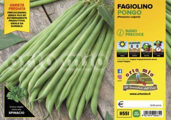 Fagiolo Nano Verde Pongo Vaschetta 12 Piantine
