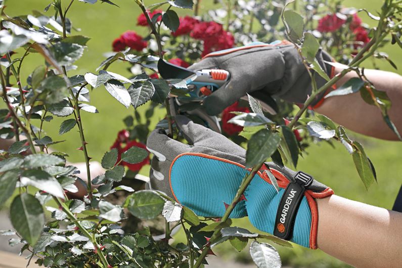 Guanti da Giardino per Arbusti - Giardango