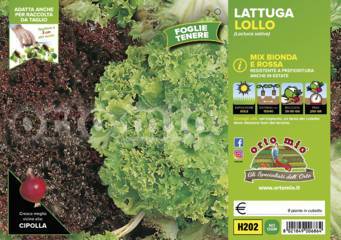 Lattuga Lollo Mix bionda e rossa