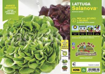 Lattuga Salanova Mix Liscia Vaschetta 9 Piantine