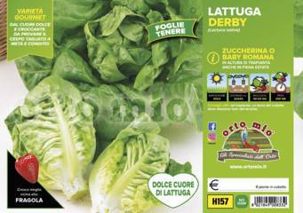 Lattuga Zuccherina Cuor di Lattuga Derby Vaschetta 9 Piantine