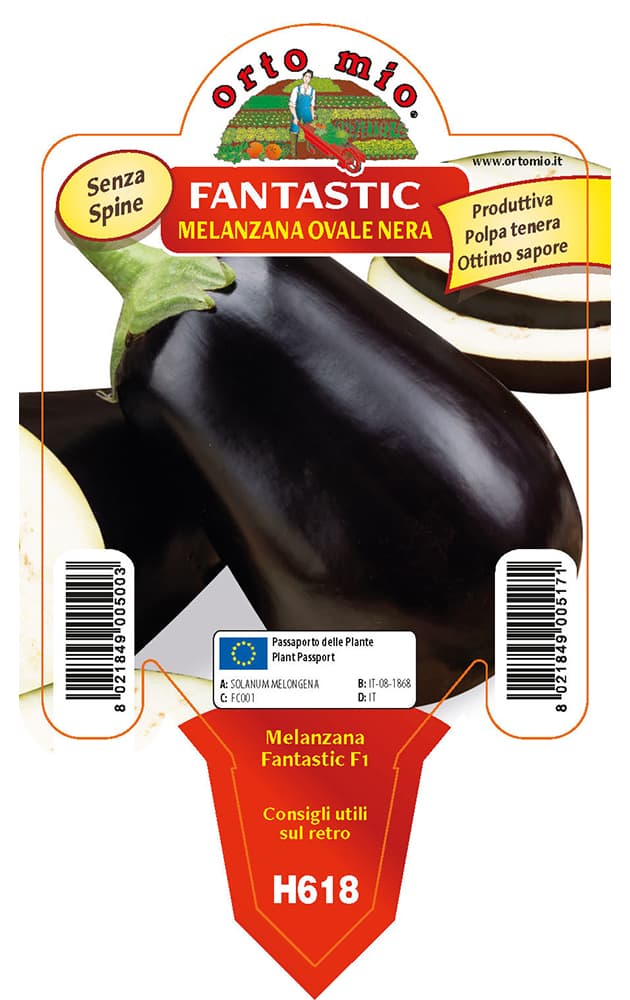 Melanzana Ovale nera