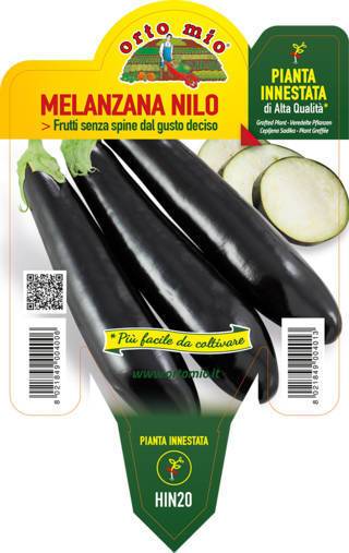 Melanzana Lunga nera
