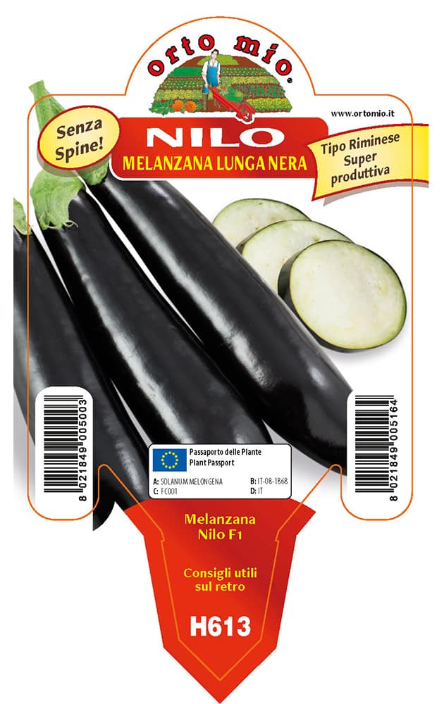 Melanzana Lunga nera