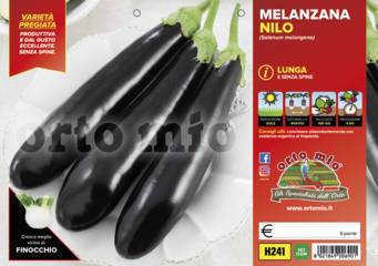 Melanzana Lunga nera