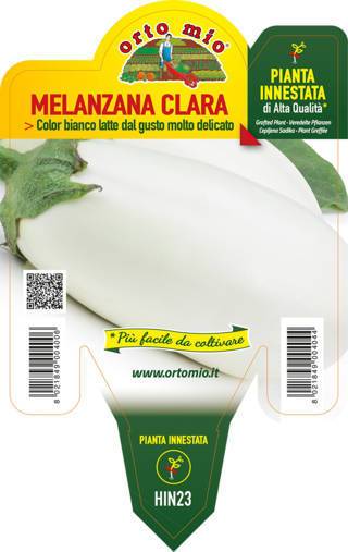 Melanzana Ovale bianca