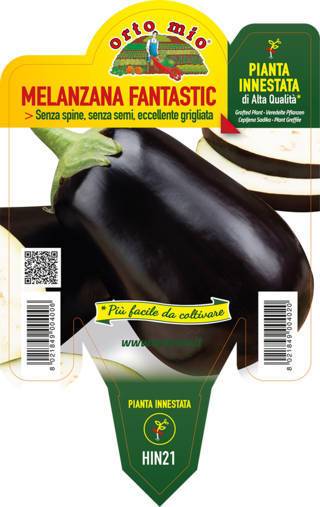 Melanzana Ovale nera