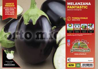 Melanzana Ovale nera