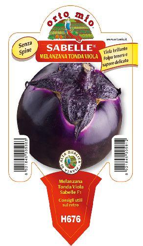 Melanzana Tonda viola