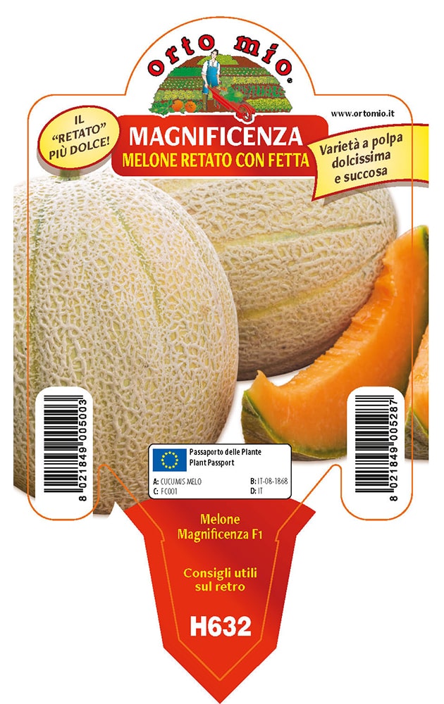 Melone Retato con fetta