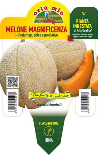 Melone Retato con fetta