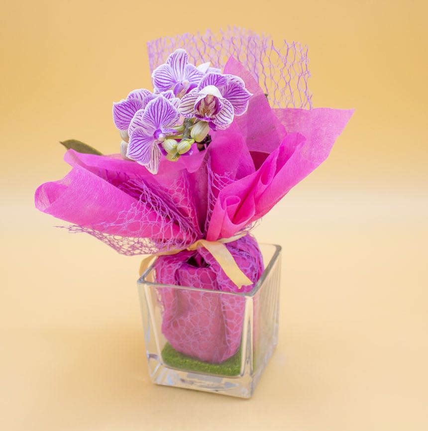 Bomboniera con Orchidea e Sabbia Verde in Cubotto di Vetro - Giardango