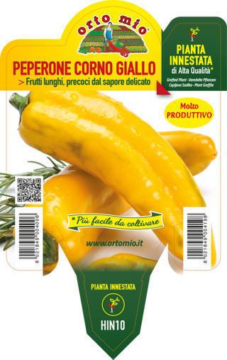 Peperone Corno Giallo (vaso 14cm)