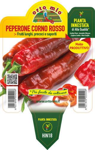 Peperone Corno Rosso Alceste Piante Innestate Vaso 14 Cm