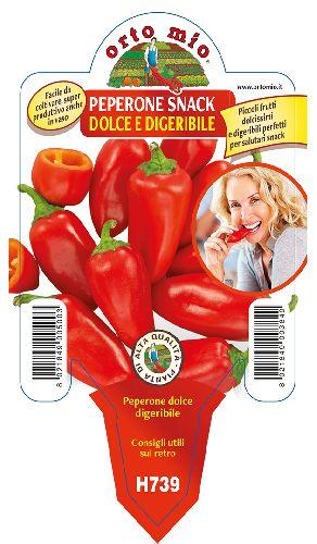Peperone Dolce e Digeribile Tricolor Snack F1 Vaso 10 Cm