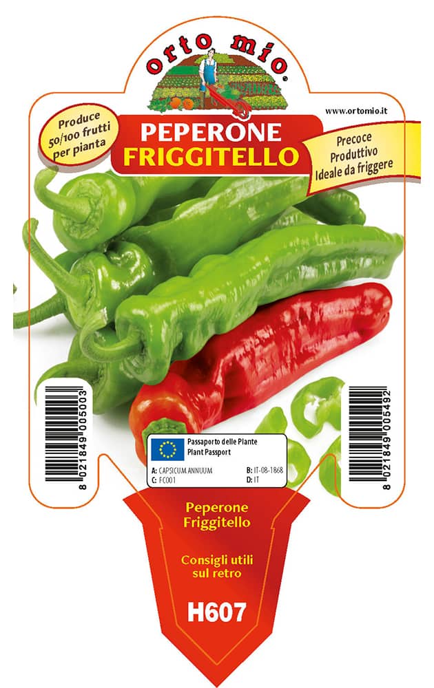 Peperone Friggitello Vaso 10 Cm