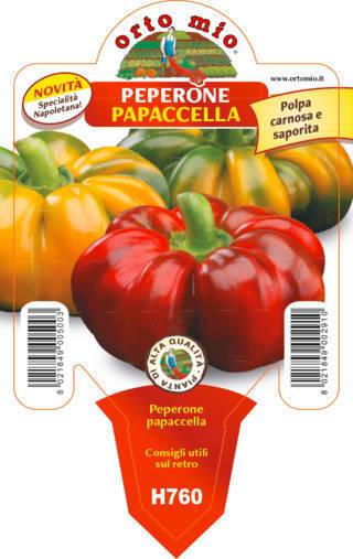 Peperone Papaccella O Napoletano Vaso 10 Cm