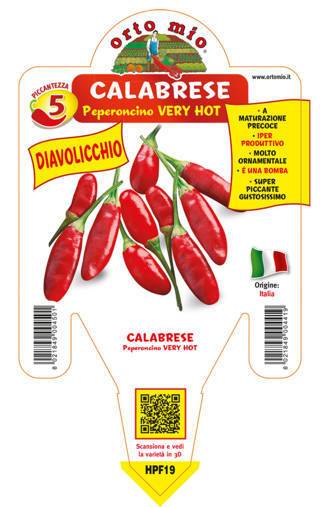 Peperoncino Diavolicchio Calabrese - Giardango