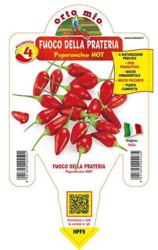 Peperoncino Fuoco della prateria - Giardango