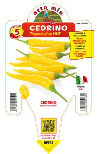 Peperoncino Cedrino - Giardango