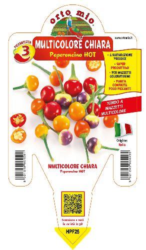 Peperoncino Multicolore Chiara
