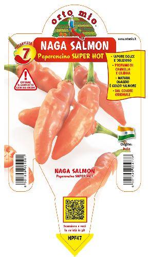 Peperoncino Naga Morich salmon - Giardango