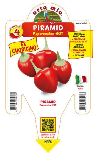 Peperone Piccante Piramid Ex Cuoricino Vaso 14 Cm