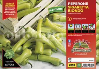 Peperone Sigaretta Biondo Vaso 10 Cm