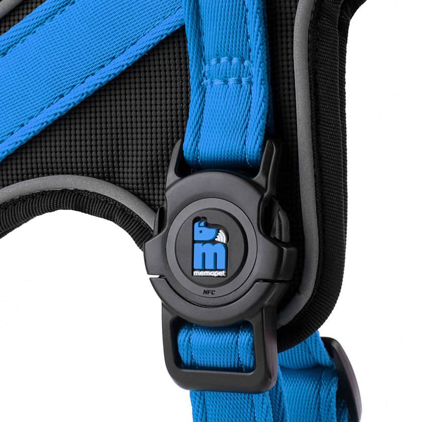 Pettorina Y in Nylon blu - Giardango