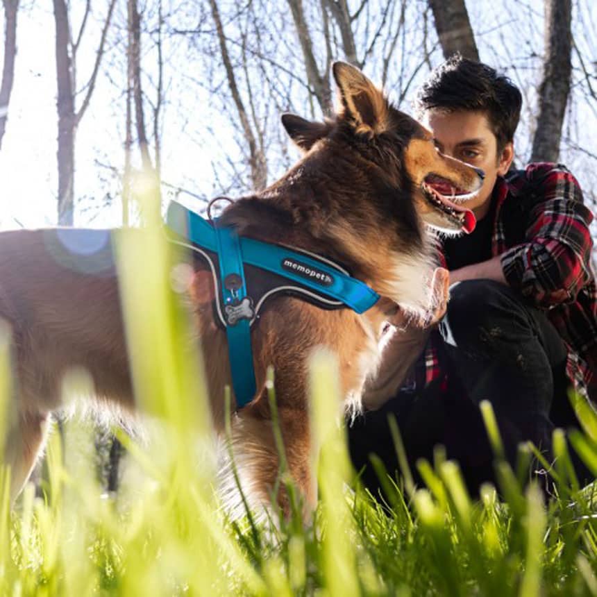 Pettorina Y in Nylon blu - Giardango
