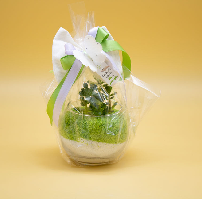 Bomboniera con Piantina Grassa e Sabbia Verde in Boccia di Vetro