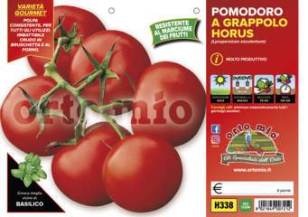 Pomodoro a Grappolo Horus Vaso 10 Cm