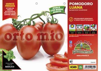 Pomodoro Allungato Ovale Luana Ex Cencara Vaso 10 Cm - Giardango