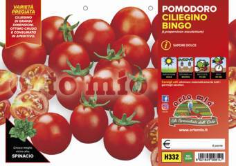 Pomodoro Ciliegia Pachino Bingo Vaschetta 6 Piantine - Giardango