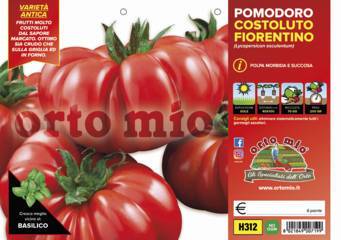 Pomodoro Costoluto Fiorentino Successo Vaso 10 Cm