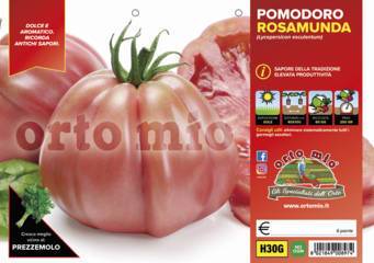 Pomodoro Cuore Ligure Rosa Vaschetta 6 Piantine - Giardango