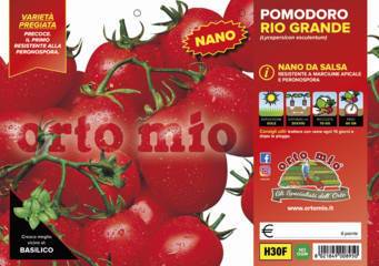 Pomodoro da Salsa Nano Rio Grande Vaschetta 6 Piantine - Giardango
