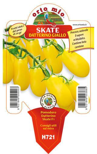 Pomodoro Datterino Giallo Skate Vaso 10 Cm - Giardango