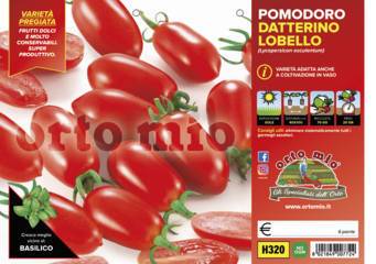 Pomodoro Datterino Lobello Vaschetta 6 Piantine - Giardango