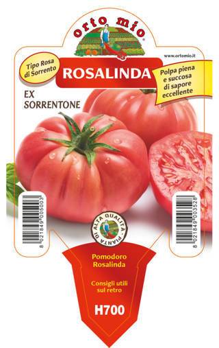 Pomodoro Gigante Rosalinda ex Sorrentone Vaso 10 Cm