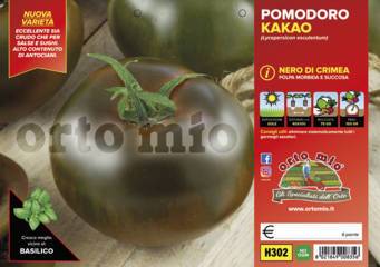 Pomodoro Nero di Crimea Kakao F1 Vaso 10 Cm - Giardango