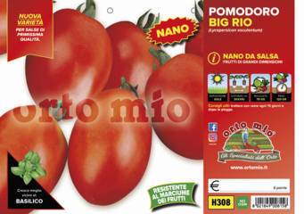 Pomodoro Ovale da Conserva Big Rio Vaschetta 6 Piantine - Giardango