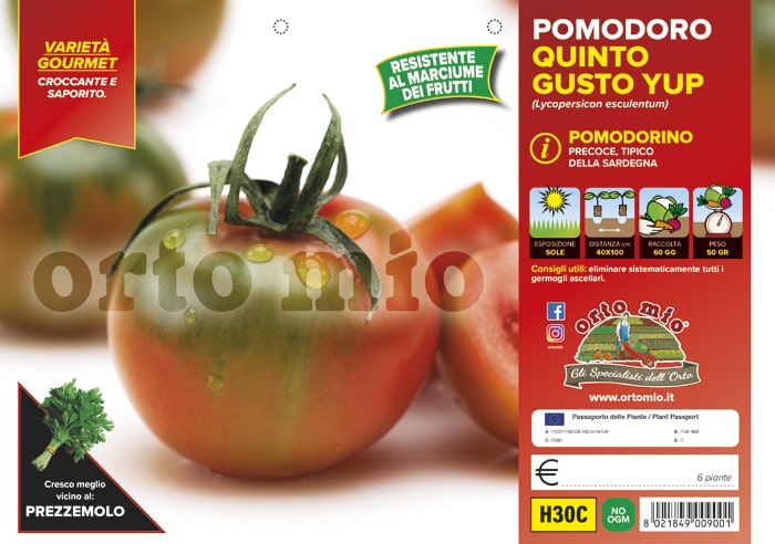 Pomodoro Quinto Gusto Yup Vaschetta 6 Piantine