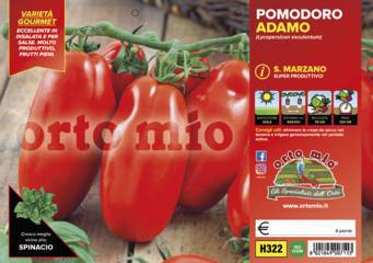 Pomodoro S. Marzano Adamo Vaschetta 6 Piantine