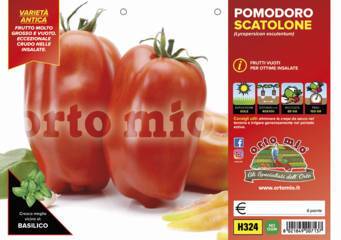 Pomodoro Scatolone Vaschetta 6 Piantine