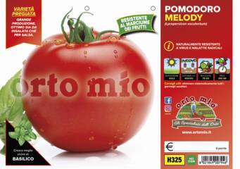 Pomodoro Tondo Melody Vaschetta 6 Piantine
